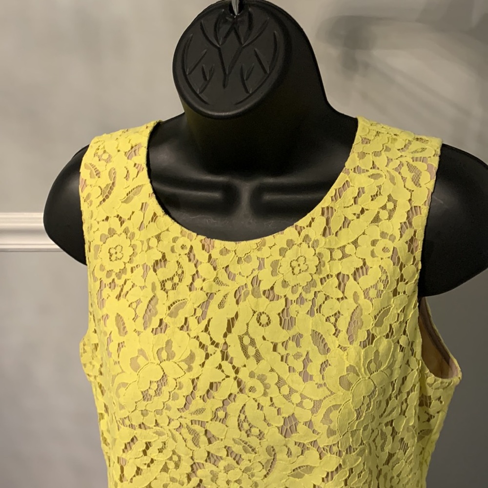 Ann Taylor Yellow & Nude Eyelash Lace Sleeveless Top Size 8P